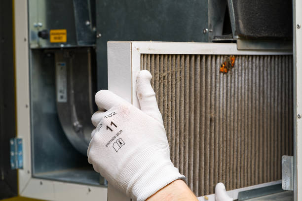 Best Air Vent Cleaning Services  in Littleton, CO