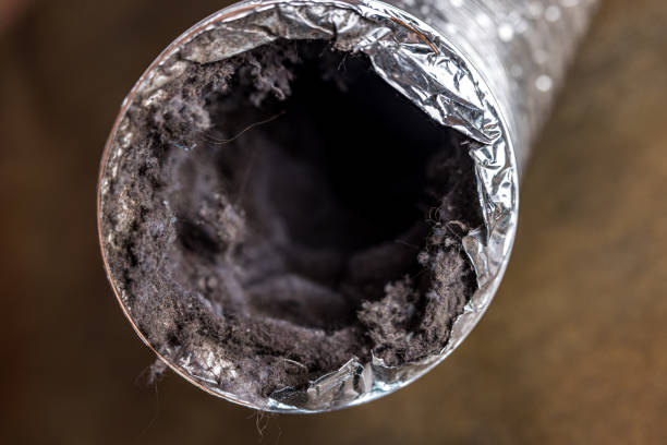 Best Affordable Air Duct Cleaning  in Littleton, CO